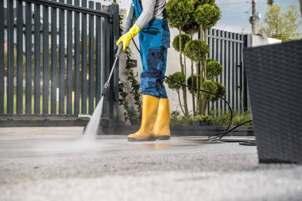 Professional Pressure Washing in Lake Los Angeles, CA